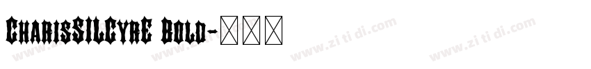CharisSILCyrE Bold字体转换